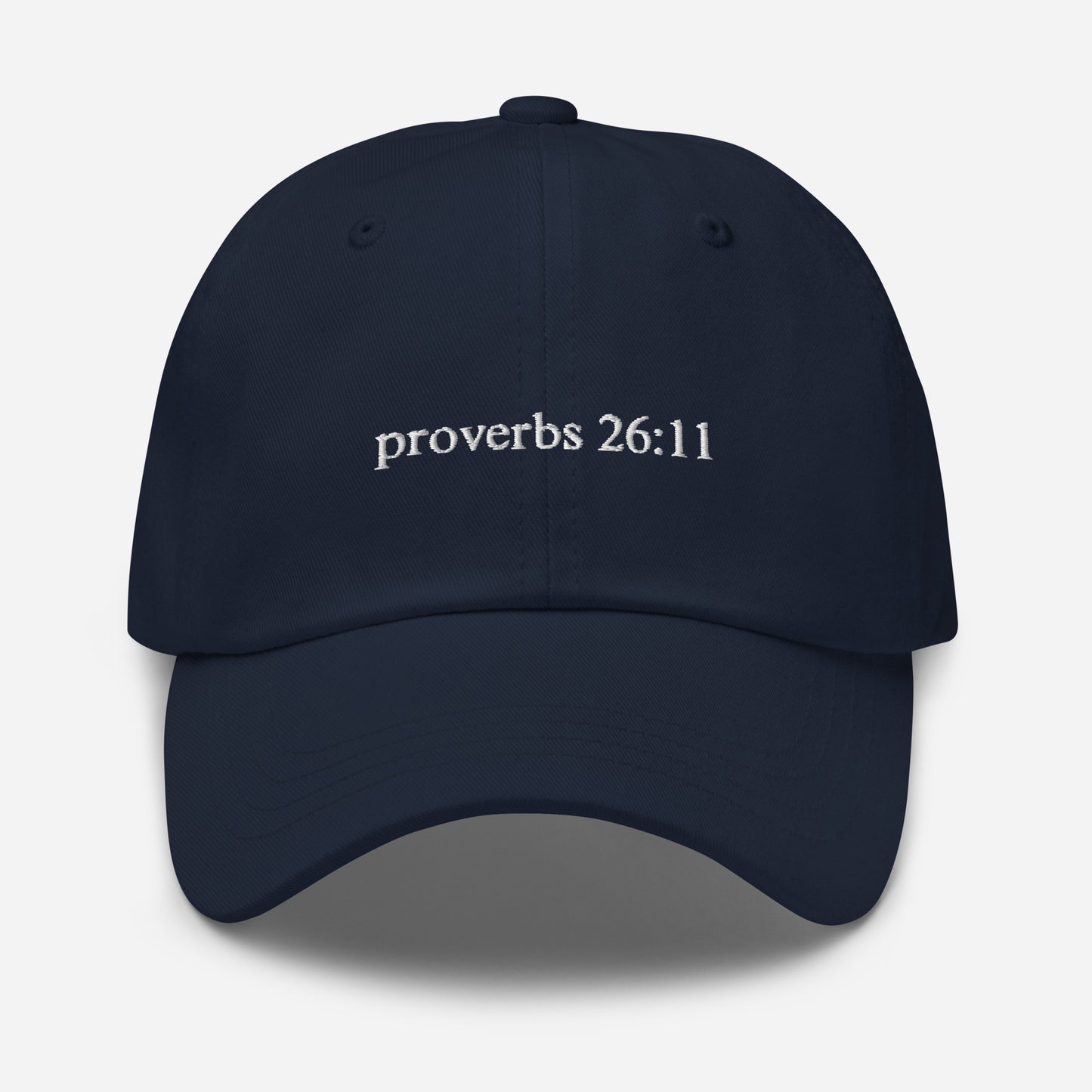 ‘Proverbs 26:11’ Dad hat