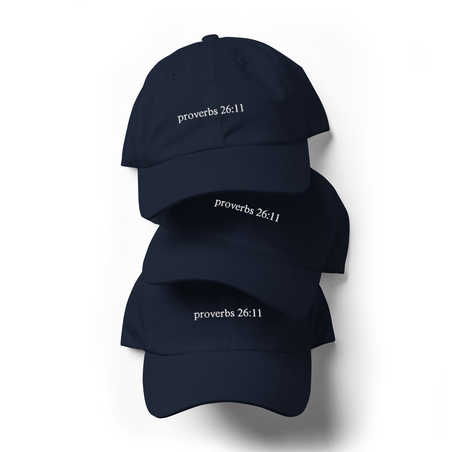 ‘Proverbs 26:11’ Dad hat