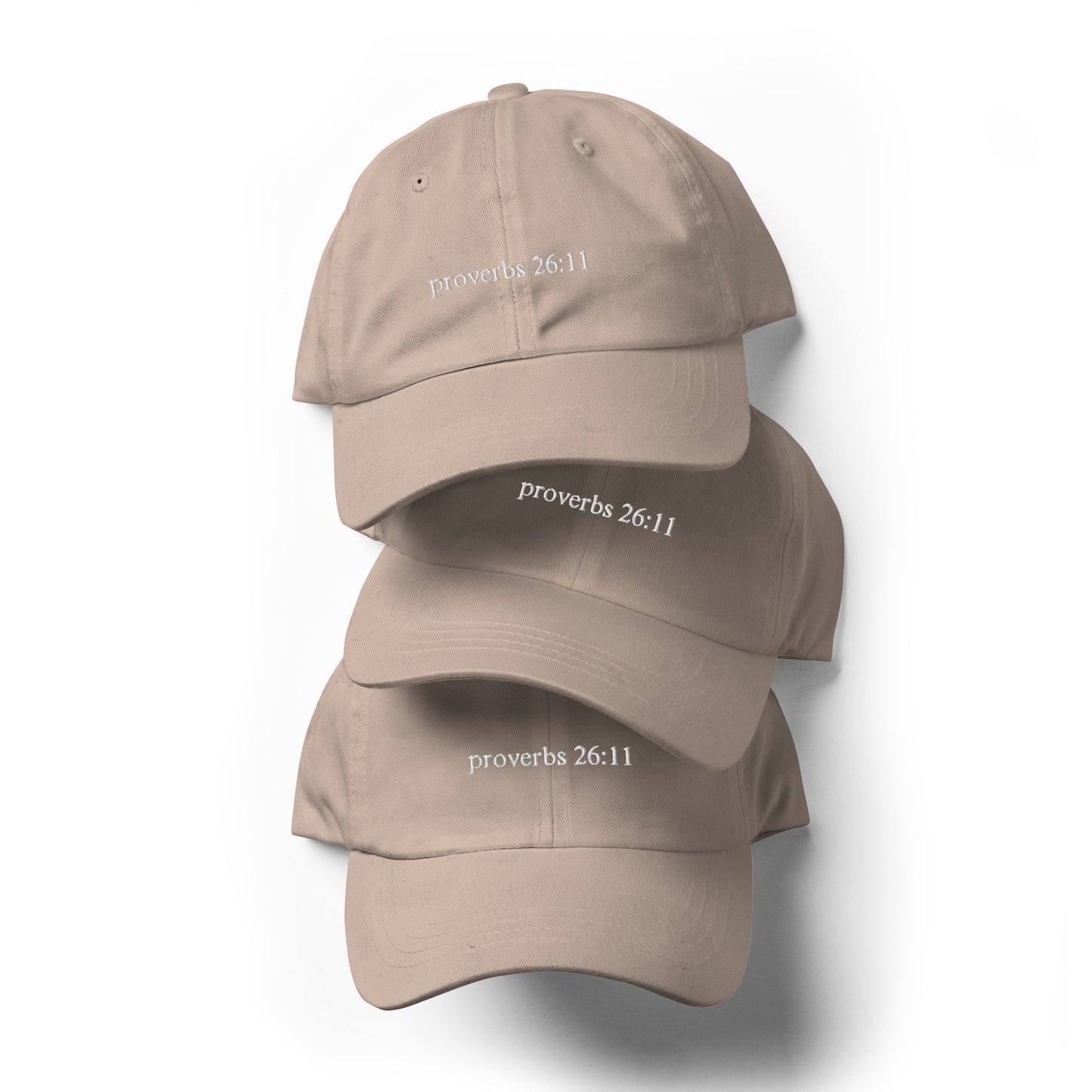 ‘Proverbs 26:11’ Dad hat